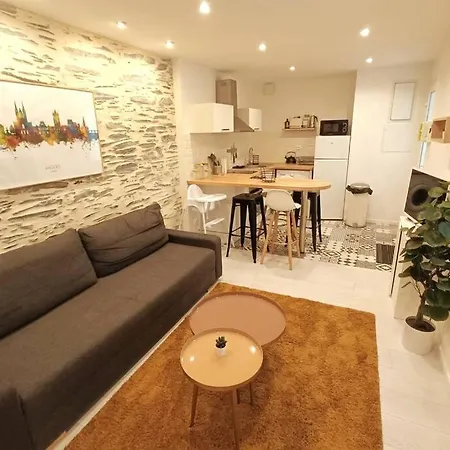 Apartment Douceurs Angevine Angers