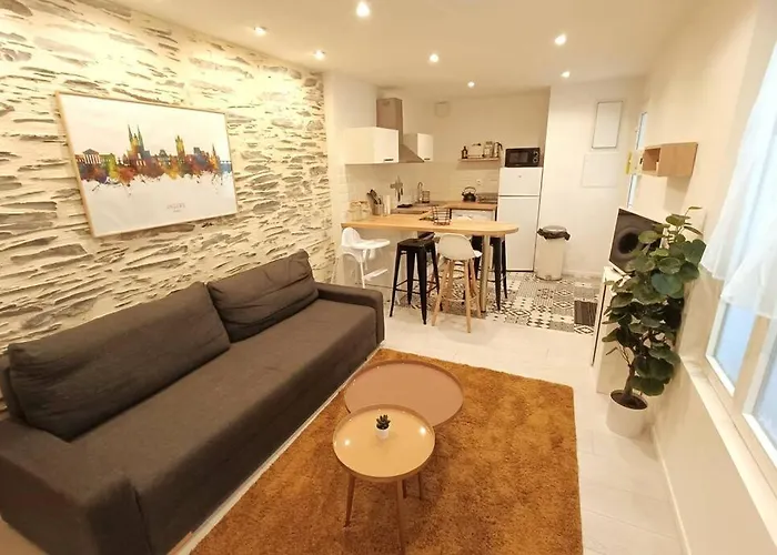 Apartment Douceurs Angevine Angers