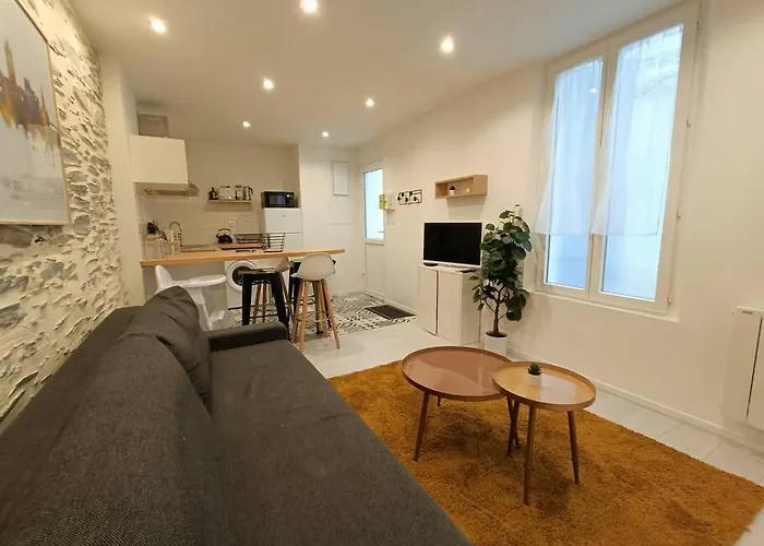 Apartment Douceurs Angevine Angers