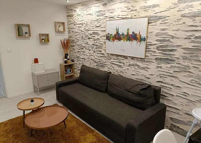 Douceurs Angevine Apartment Angers